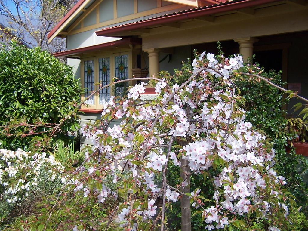 Shelton-Lea Villa Katoomba Eksteriør bilde